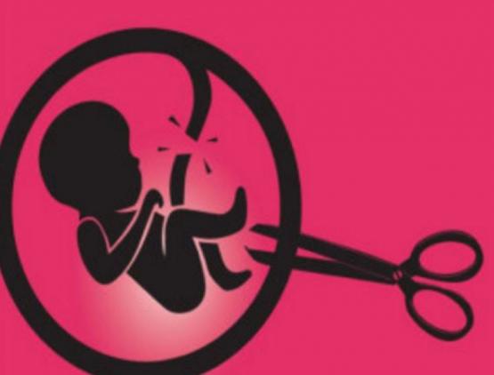 संसदीय समिति ने की गर्भपात समय सीमा बढ़ाने की सिफारिश