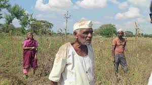 महाराष्ट्र में बेमौसम बारिश के कारण फसलों को नुकसान