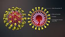 ब्रिटेन में पाए गए कोरोना वायरस के नए स्वरूप पर अपडेट